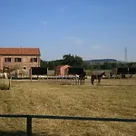 カントリーハウス Conero Ranch
