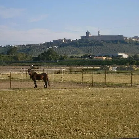 Летний дом Conero Ranch *