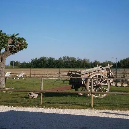 Conero Ranch