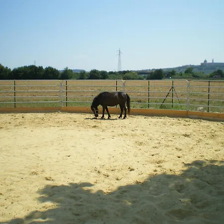 カントリーハウス Conero Ranch ポルト・レカナーティ