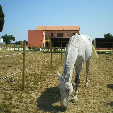 カントリーハウス Conero Ranch