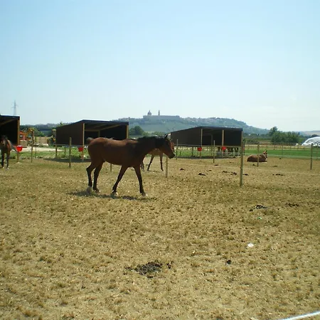 カントリーハウス Conero Ranch ポルト・レカナーティ