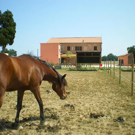 カントリーハウス Conero Ranch