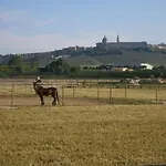 בית כפרי Conero Ranch *