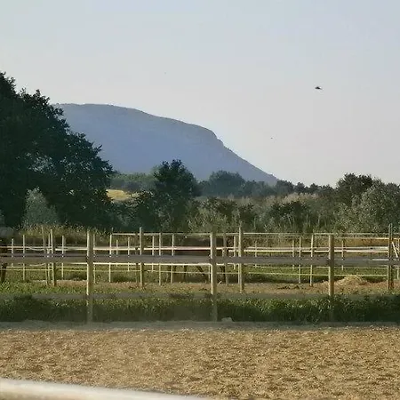 Casa di campagna Conero Ranch Porto Recanati