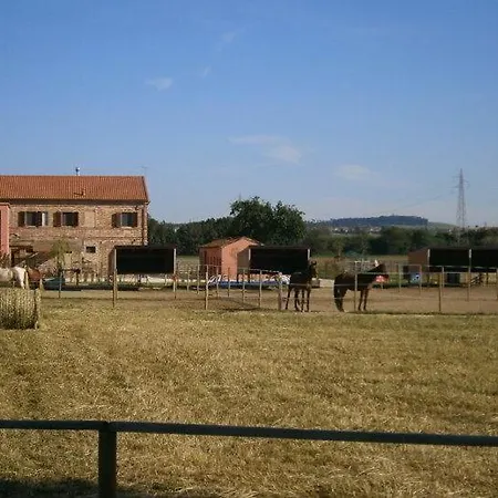 Casa di campagna Conero Ranch