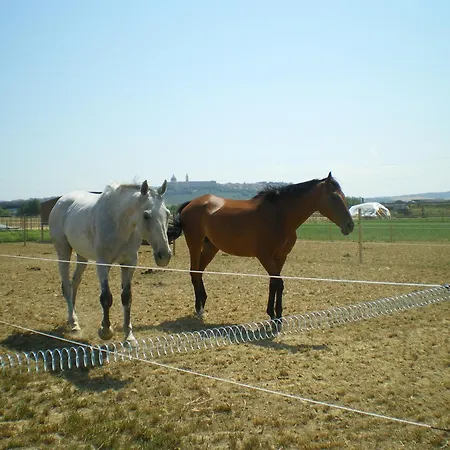 Casa di campagna Conero Ranch *