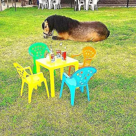 Casa di campagna Conero Ranch *