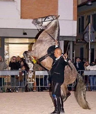 Casa di campagna Conero Ranch